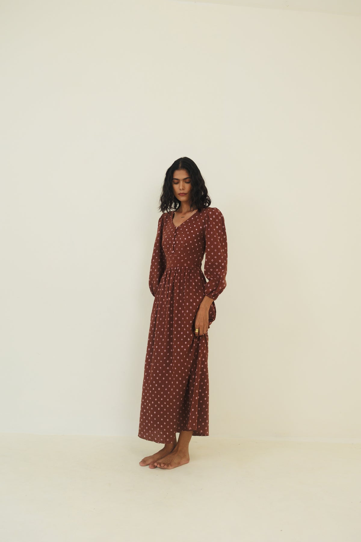 Lavanya Dress