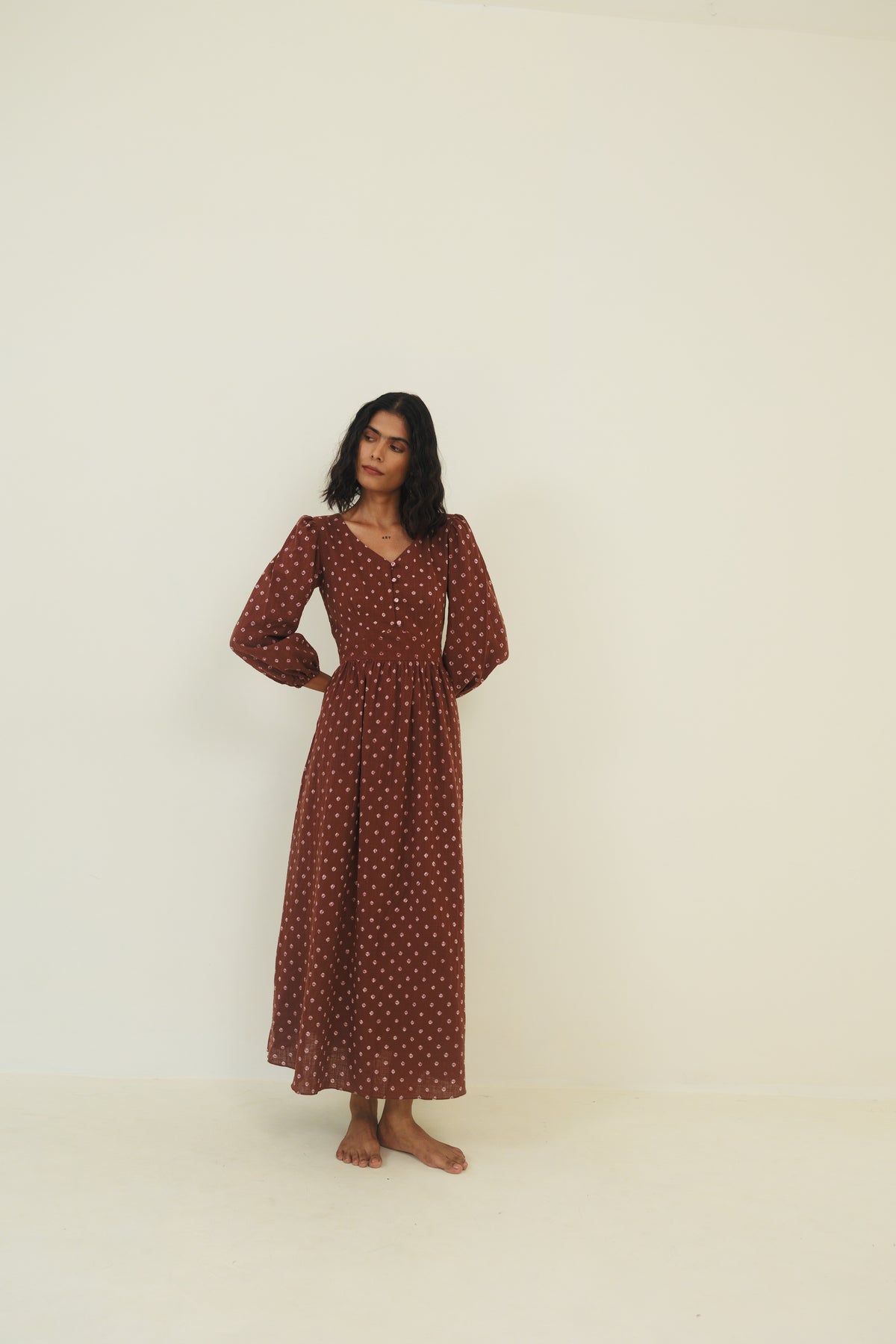 Lavanya Dress